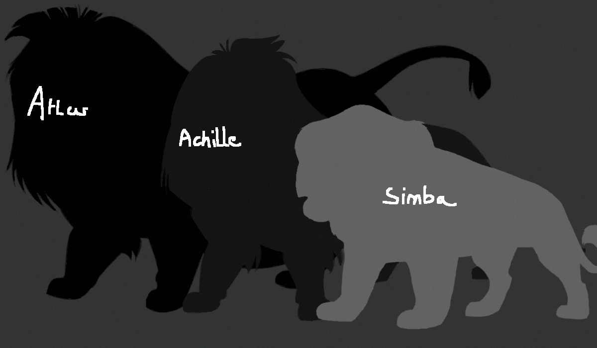 Lion