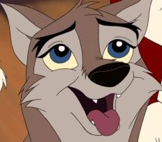 Wolf