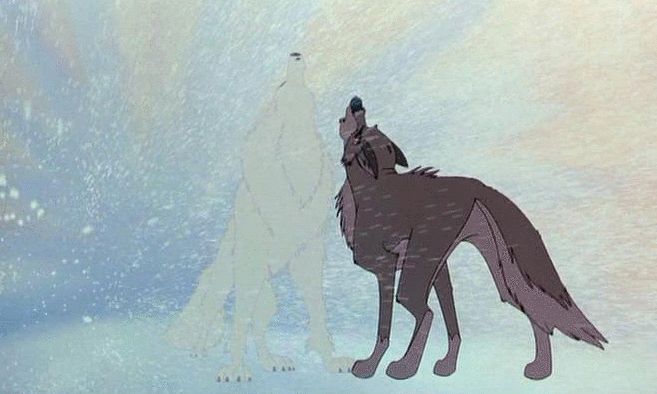 Wolf