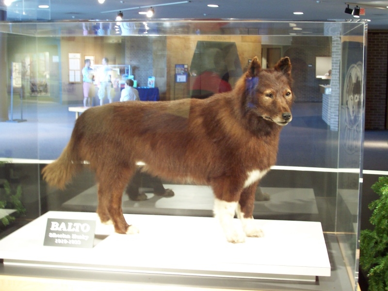 Balto
