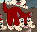 Pups