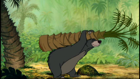 Detail Baloo