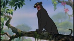 The Jungle Book picture