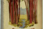 Original Novel