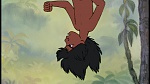 The Jungle Book picture