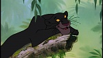 The Jungle Book picture