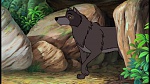 The Jungle Book picture