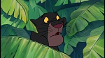 The Jungle Book picture