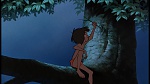 The Jungle Book picture