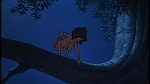 The Jungle Book picture