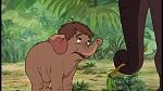 The Jungle Book picture