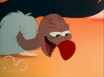 Jungle Book : 