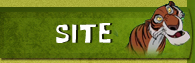 Site