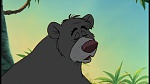 The Jungle Book picture