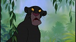 The Jungle Book picture