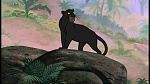 The Jungle Book picture