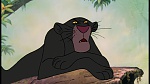 The Jungle Book picture