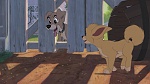 Lady and the Tramp II: Scamp's Adventure picture