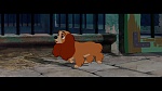 The Lady and the Tramp picture
