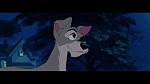 The Lady and the Tramp picture