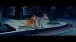 The Lady and the Tramp
