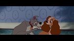The Lady and the Tramp