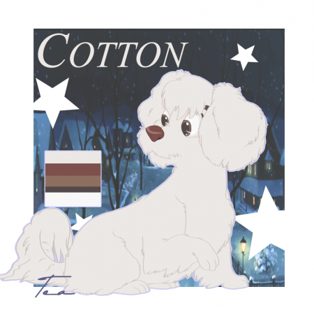Detail Cotton