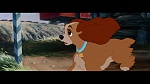 The Lady and the Tramp