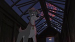 Lady and the Tramp II: Scamp's Adventure