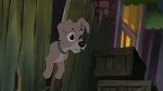 Lady and the Tramp II: Scamp's Adventure