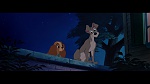 The Lady and the Tramp picture