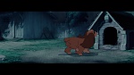 The Lady and the Tramp picture