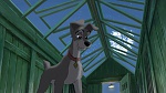 Lady and the Tramp II: Scamp's Adventure