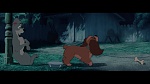 The Lady and the Tramp