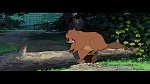 The Lady and the Tramp picture