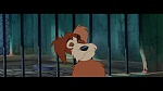 The Lady and the Tramp