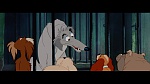 The Lady and the Tramp