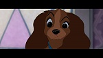 The Lady and the Tramp picture