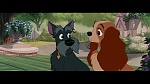 The Lady and the Tramp