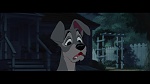 The Lady and the Tramp picture
