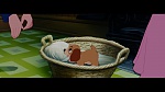 The Lady and the Tramp picture