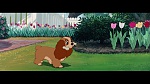 The Lady and the Tramp picture