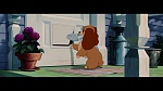 The Lady and the Tramp picture