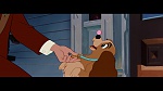 The Lady and the Tramp