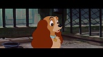 The Lady and the Tramp picture