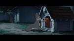 The Lady and the Tramp