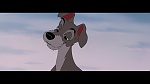 The Lady and the Tramp