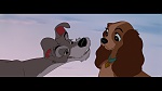 The Lady and the Tramp picture