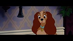 The Lady and the Tramp picture