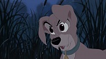 Lady and the Tramp II: Scamp's Adventure picture